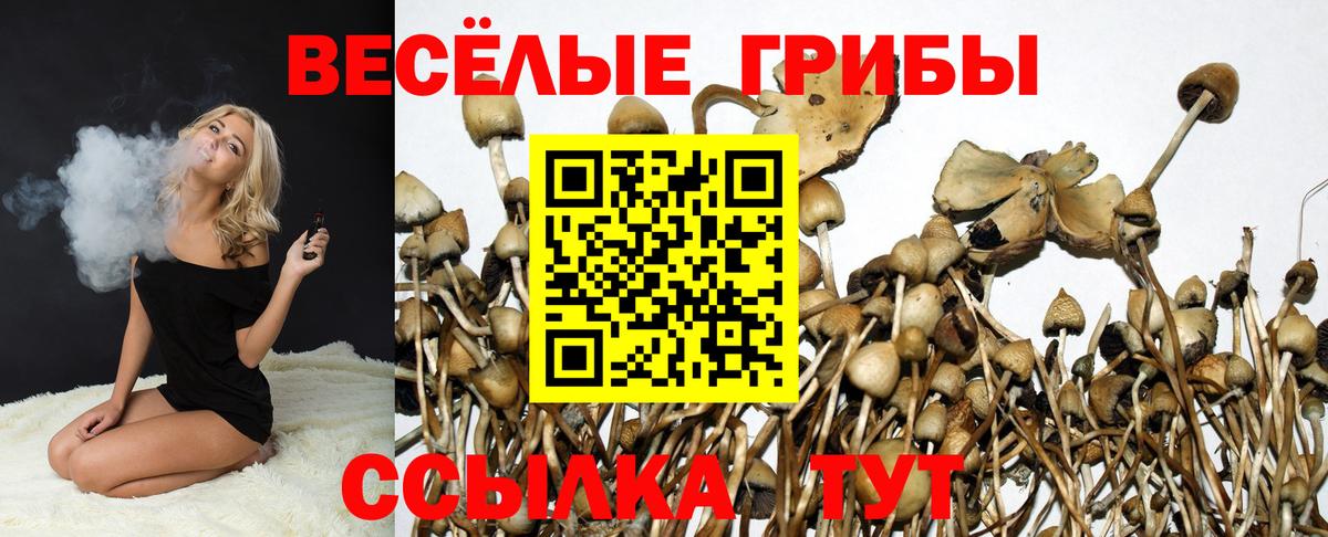 Псилоцибиновые грибы мухоморы  Псилоцибиновые грибы MAGIC MUSHROOMS  Вход с VPN  Советский 