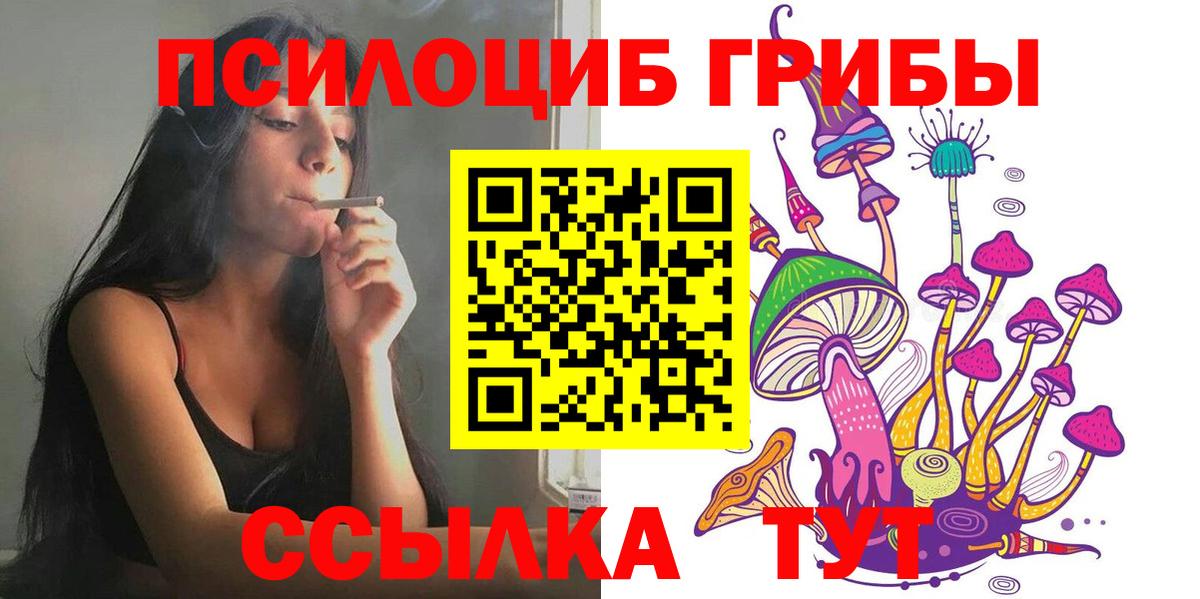 Галлюциногенные грибы Psilocybine cubensis Советский